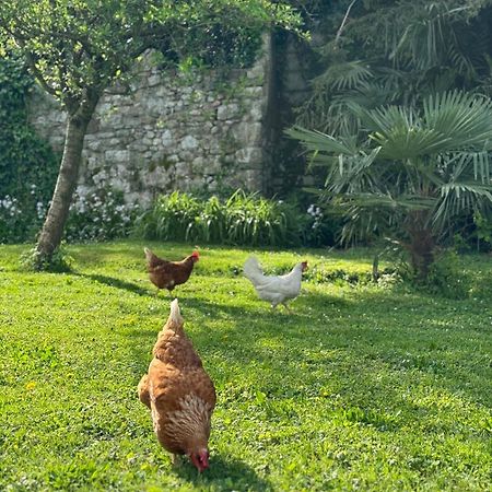 B&B Antico Fienile Gorizia Buitenkant foto