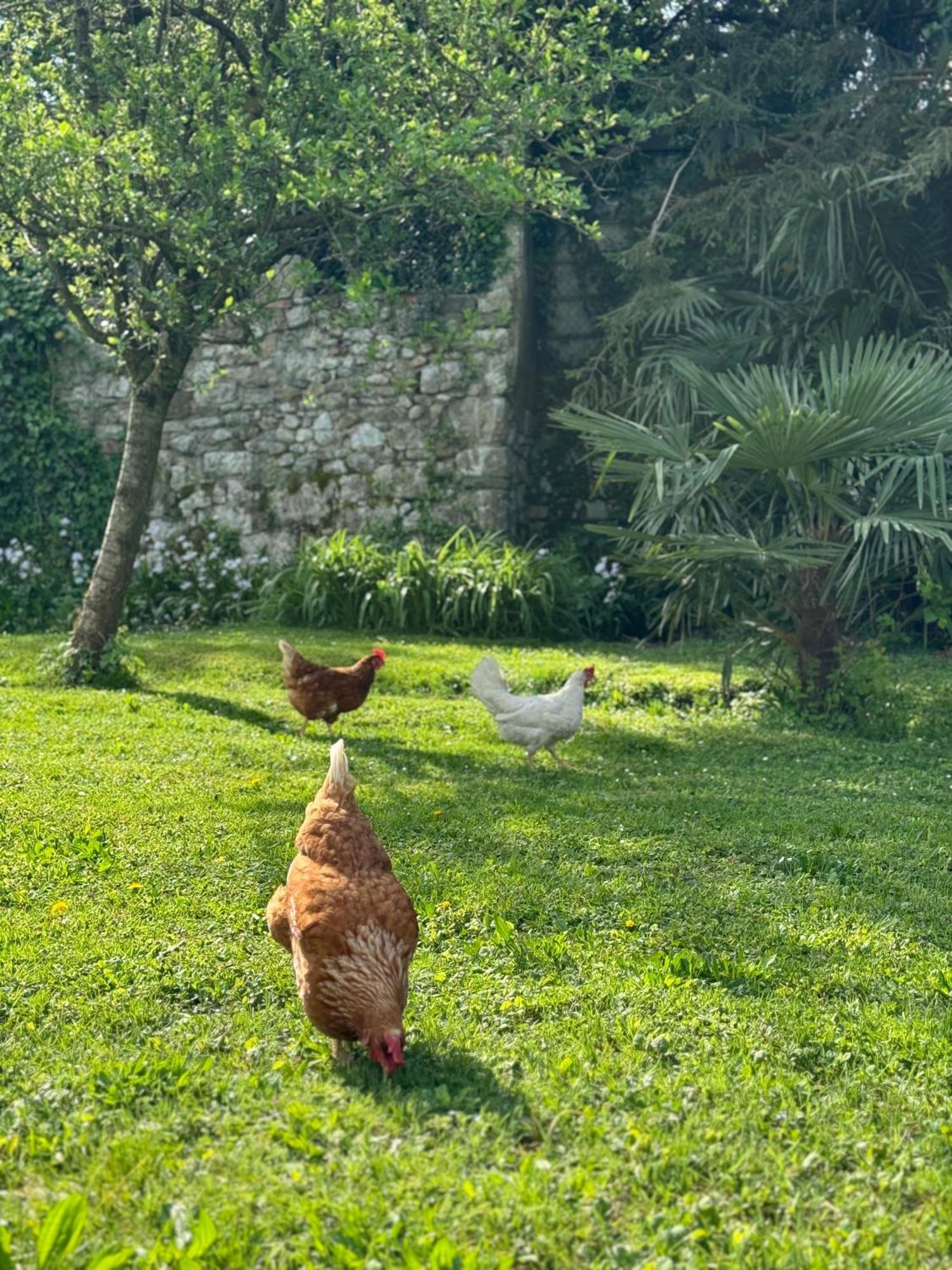 B&B Antico Fienile Gorizia Buitenkant foto